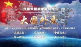 大国外交在线观看,揭秘中国外交智慧与风采